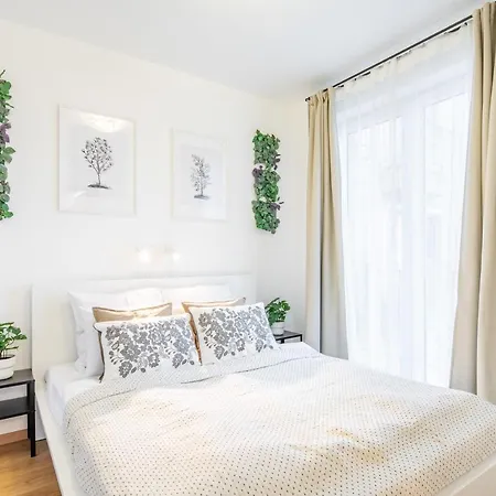 Comfortable Apartment