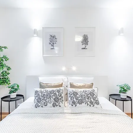 Comfortable Apartment