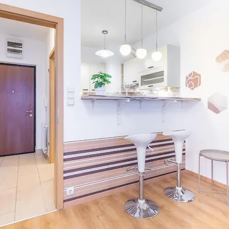 Comfortable Apartment