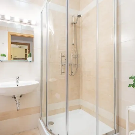 Comfortable Apartment